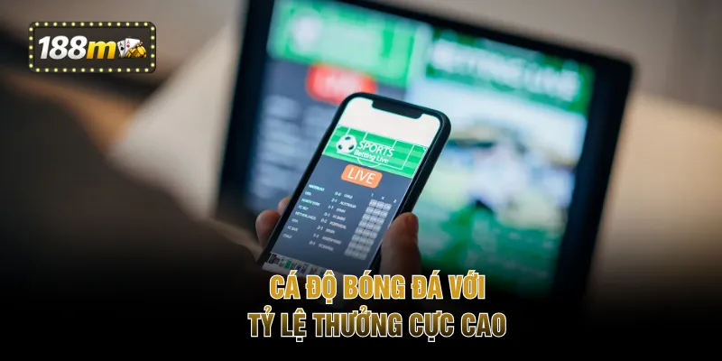 Cá độ bóng đá với tỷ lệ thưởng cực cao