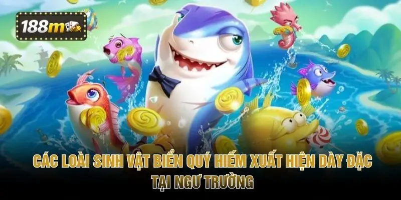 Các loài sinh vật biển quý hiếm xuất hiện dày đặc tại ngư trường