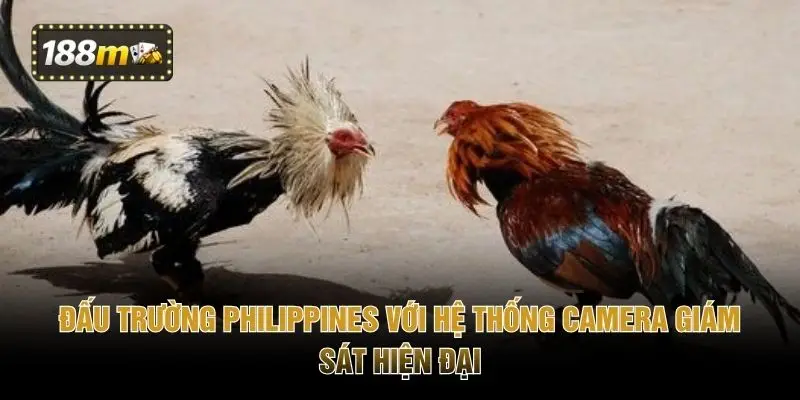 Đấu trường Philippines với hệ thống camera giám sát hiện đại