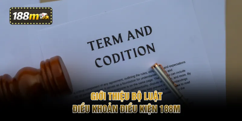 Giới thiệu bộ luật điều khoản điều kiện 188M