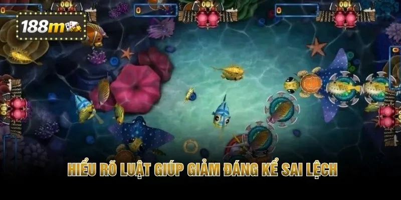 Hiểu rõ luật giúp giảm đáng kể sai lệch