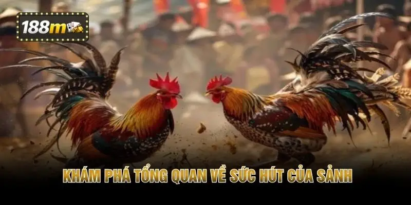 Khám phá tổng quan về sức hút của sảnh