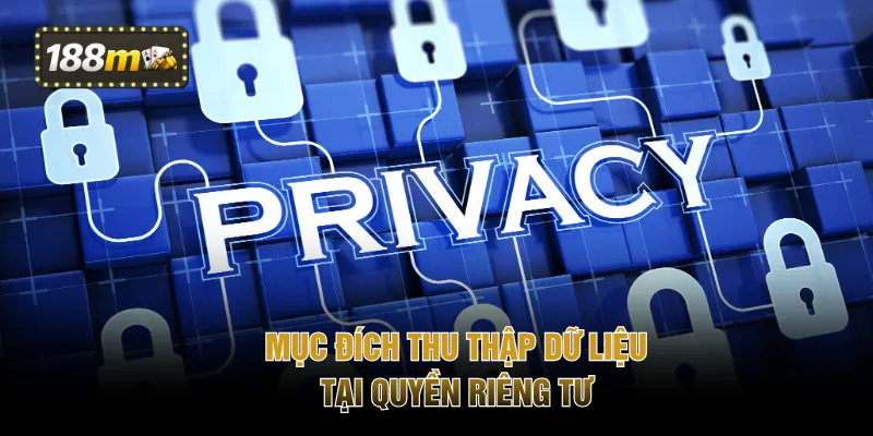 Mục đích thu thập dữ liệu tại quyền riêng tư