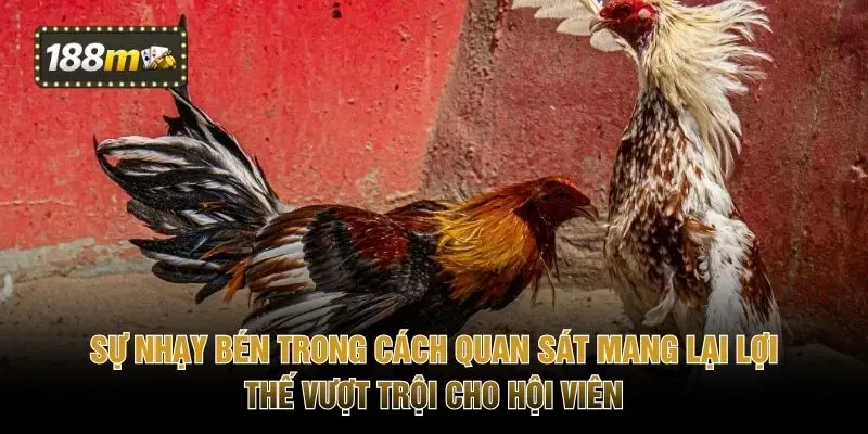 Sự nhạy bén trong cách quan sát mang lại lợi thế vượt trội cho hội viên