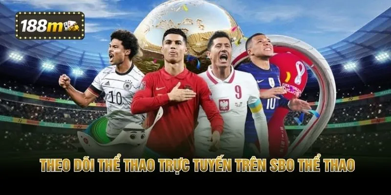 Theo dõi thể thao trực tuyến trên SBO thể thao