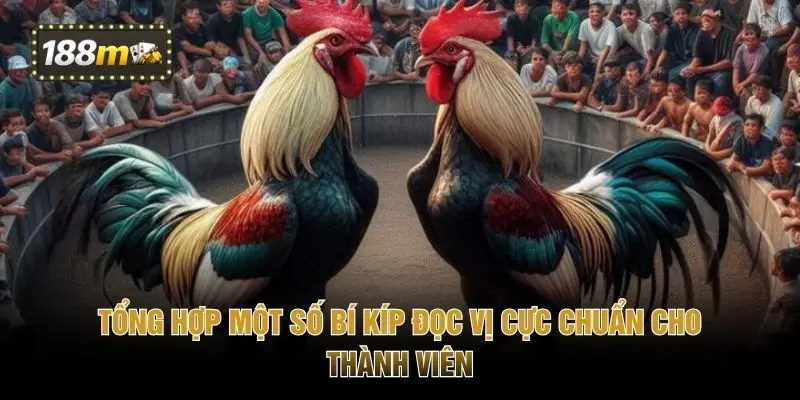 Tổng hợp một số bí kíp đọc vị cực chuẩn cho thành viên